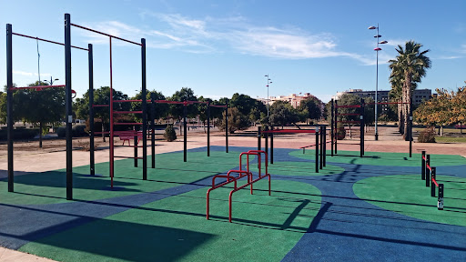Calistènia Borriana en Borriana, Castellón