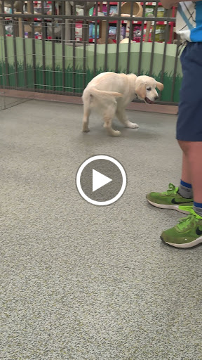 Pet Supply Store «Pet Food Express», reviews and photos, 1902 S Bascom Ave, Campbell, CA 95008, USA