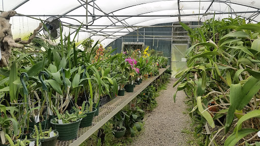 Phelps Farm Orchids Inc Find Farm in El Paso news