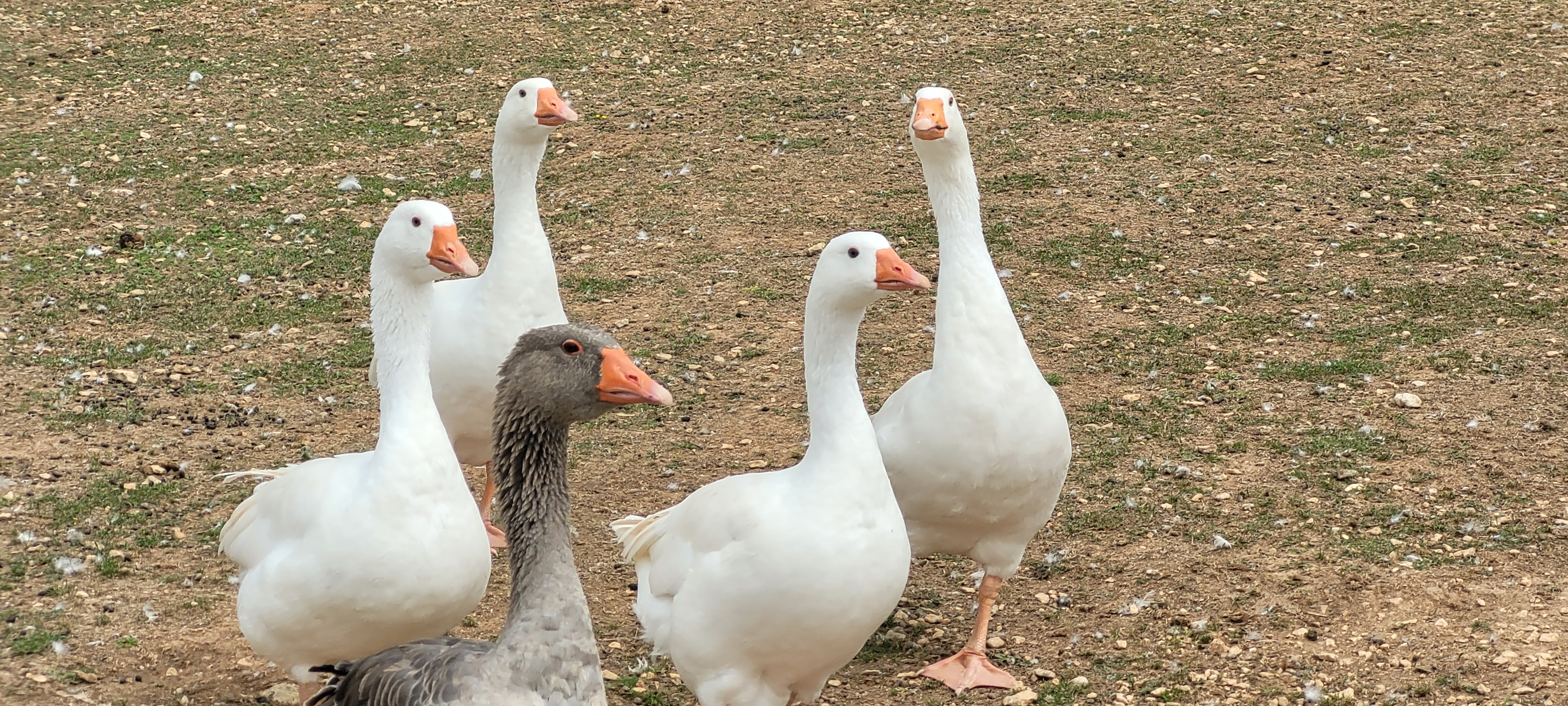 Photo n° 3 de l'avis de DM.o fait le 19/08/2023 à 08:17