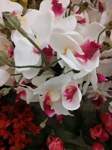 Craft Store «Hobby Lobby», reviews and photos, 11 W 39th St, Kearney, NE 68847, USA