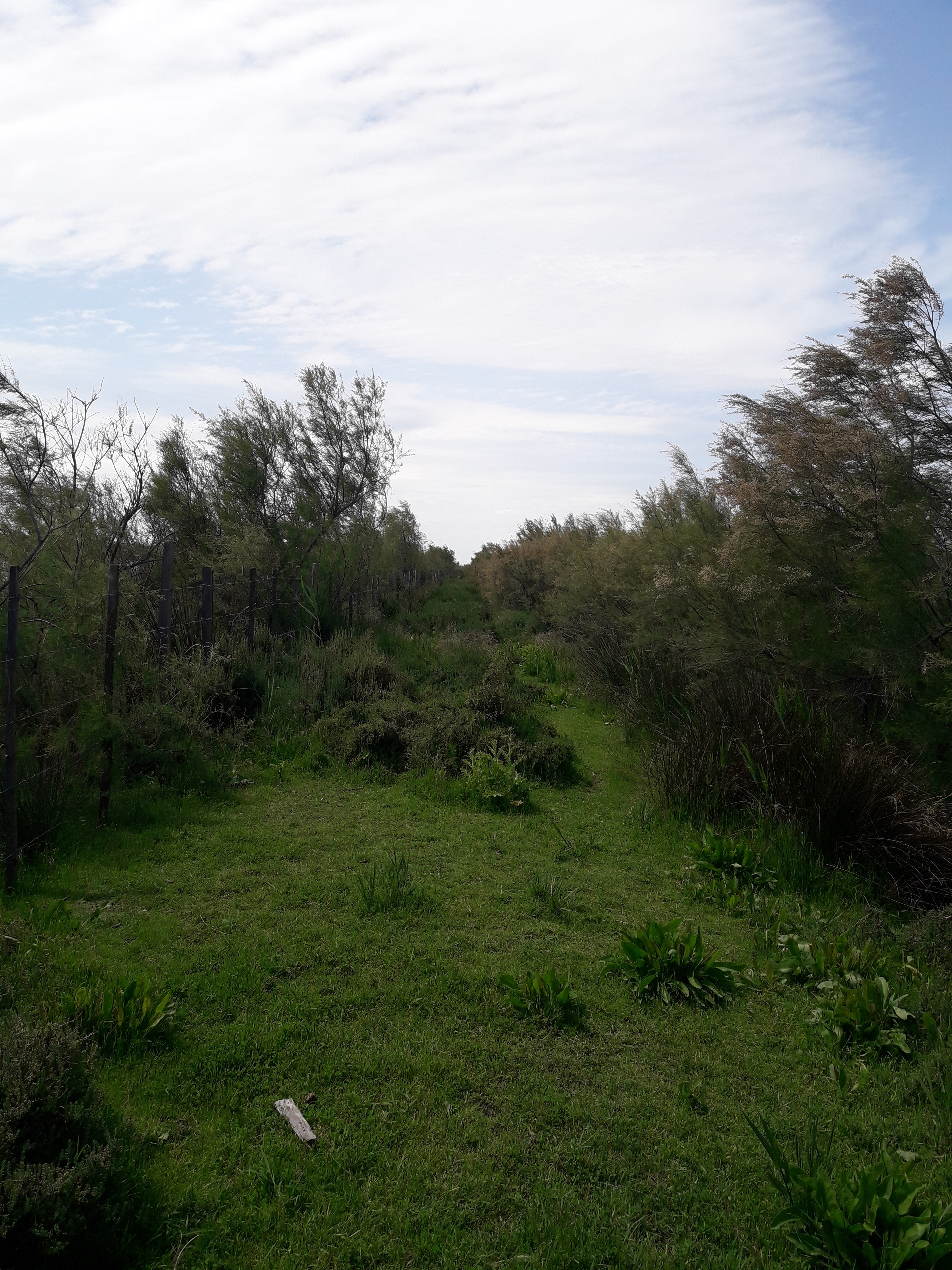 Photo n° 5 de l'avis de Mireille.o fait le 07/05/2018 à 14:34