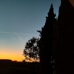 Photo n°2 de l'avis de Antonio.o fait le 11/11/2022 à 10:02 sur le  Herdade da Cortesia à Avis