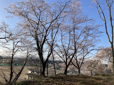 郡山市立桜小学校