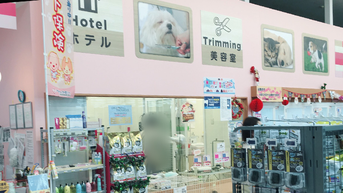 Japan Pets Trading 株式会社（OneBuddy 新船橋店）