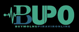 Molnupiravir Supplier Ltd.