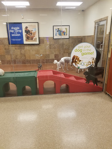 Pet Supply Store «PetSmart», reviews and photos, 3995 Welsh Rd, Willow Grove, PA 19090, USA