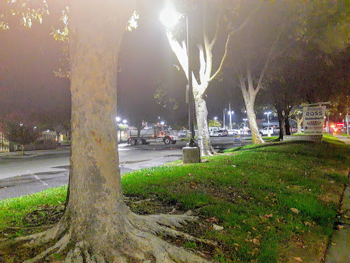 Supermarket «FoodMaxx», reviews and photos, 2055 Sebastopol Rd, Santa Rosa, CA 95407, USA