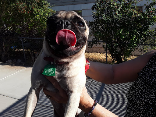 Lodging «PetSmart North Ogden», reviews and photos, 175 W 12th St, Ogden, UT 84404, USA