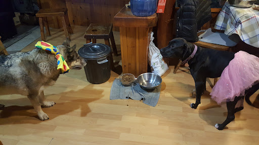 Sundridge Veterinary Services image