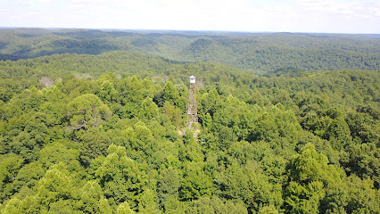 Hickory Flats Lookout Tower