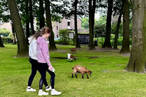 Het DierenRijck image