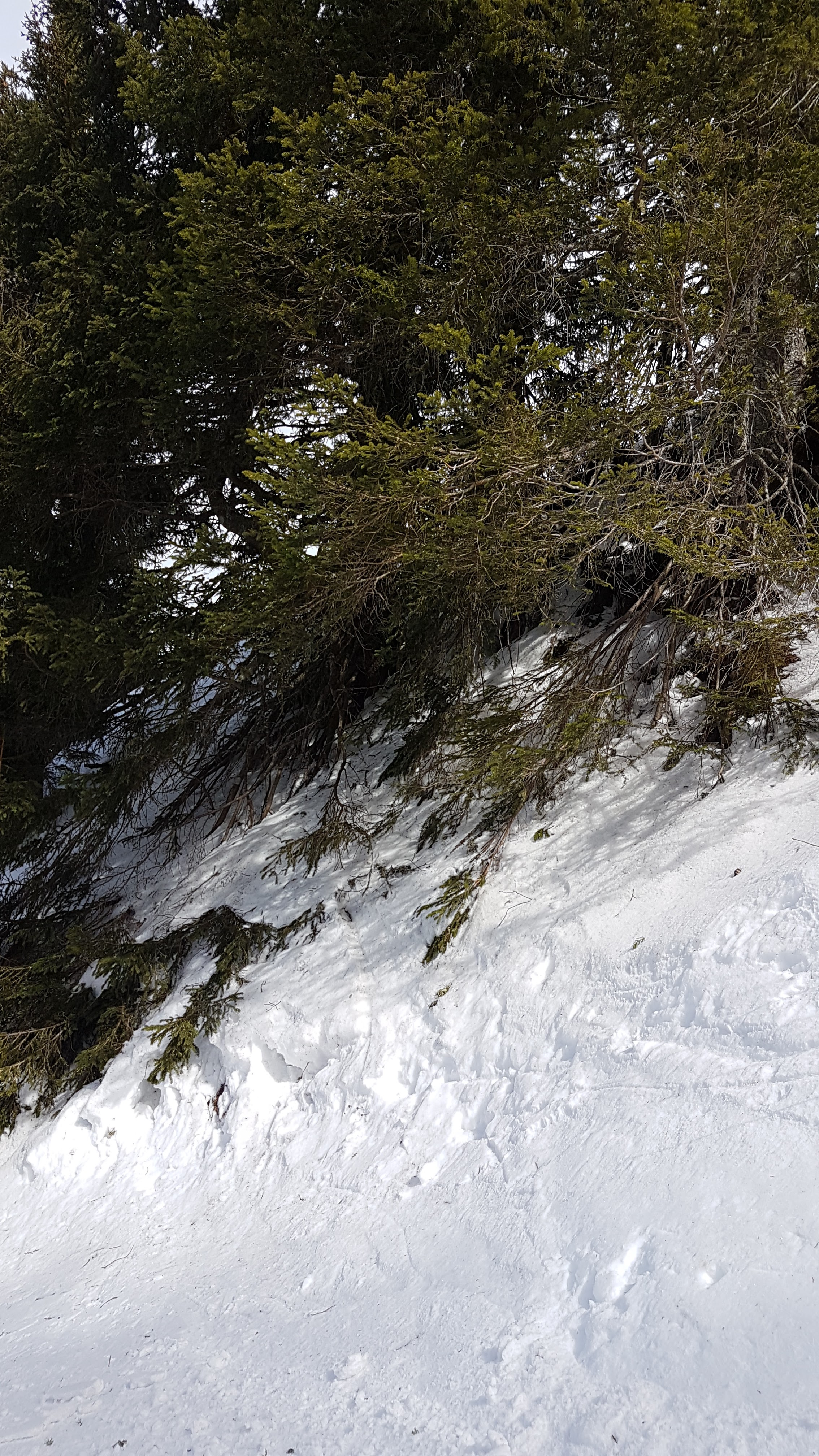 Photo n° 2 de l'avis de Myriam.o fait le 06/03/2019 à 16:33