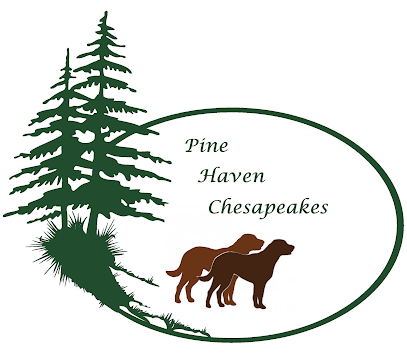 Pine Haven Chesapeakes
