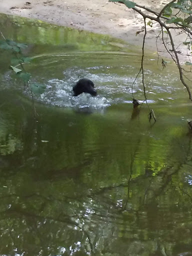 Dog Park «Perry Paw Dog Park», reviews and photos, 9033 Honeygo Blvd, Perry Hall, MD 21128, USA