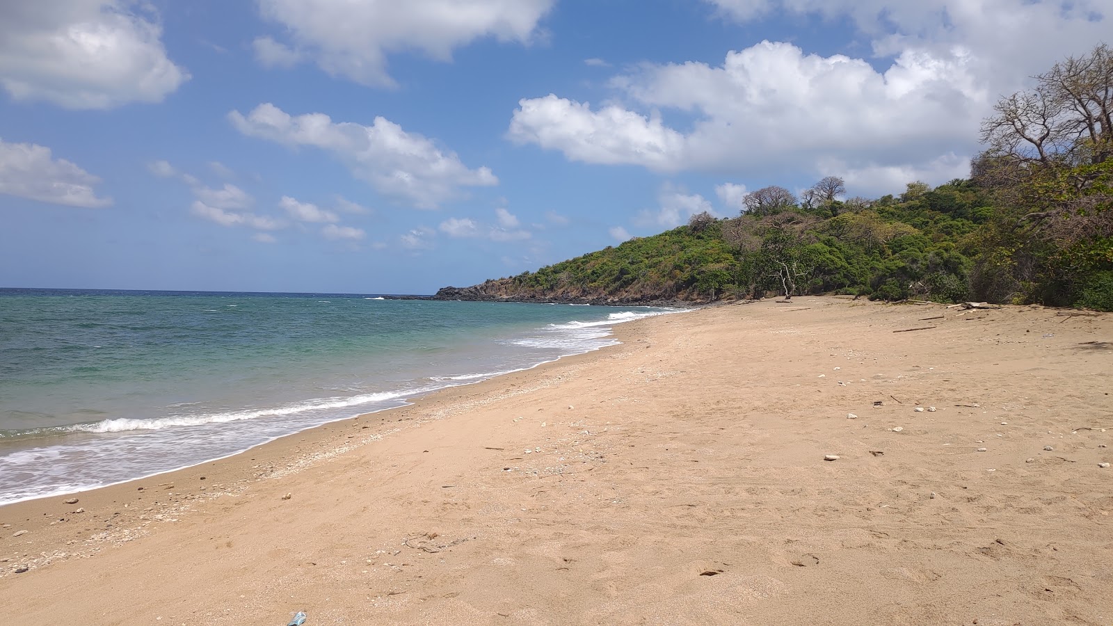 Photo de Mtsanga Kolo Batsoumou Beach avec sable brun de surface