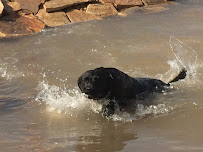 Critter Camp Pet Resort - Photo 2 - Car repair in Canyon, TX, Amarillo