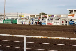 Toppenish Rodeo & Livestock image