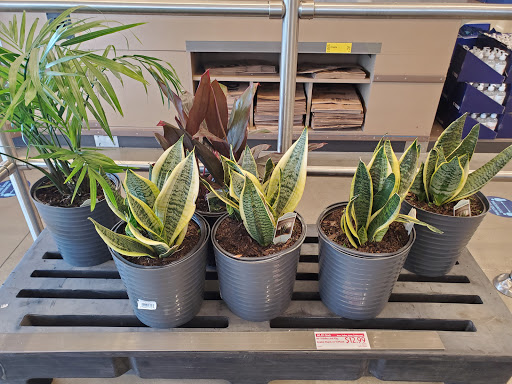 Supermarket «ALDI», reviews and photos, 333 Ave K SW, Winter Haven, FL 33880, USA