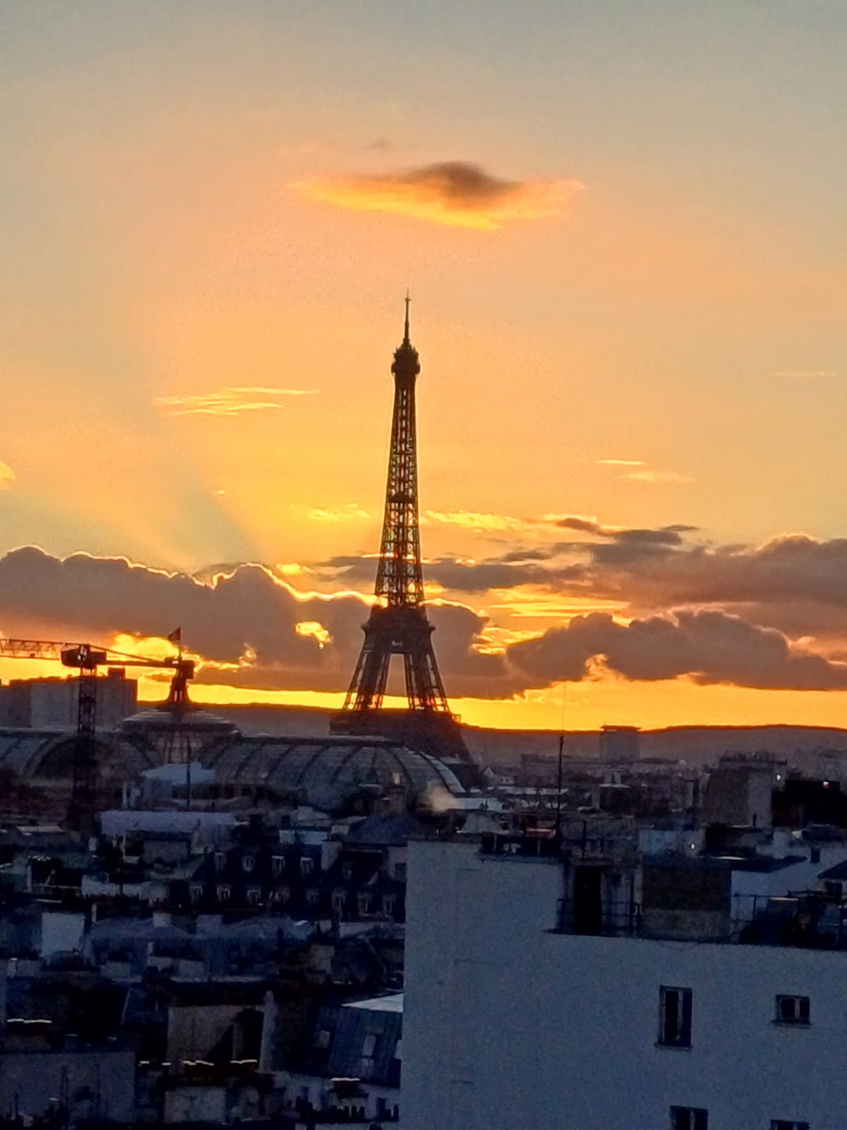Photo n° 2 de l'avis de Philippe.o fait le 05/01/2024 à 15:43