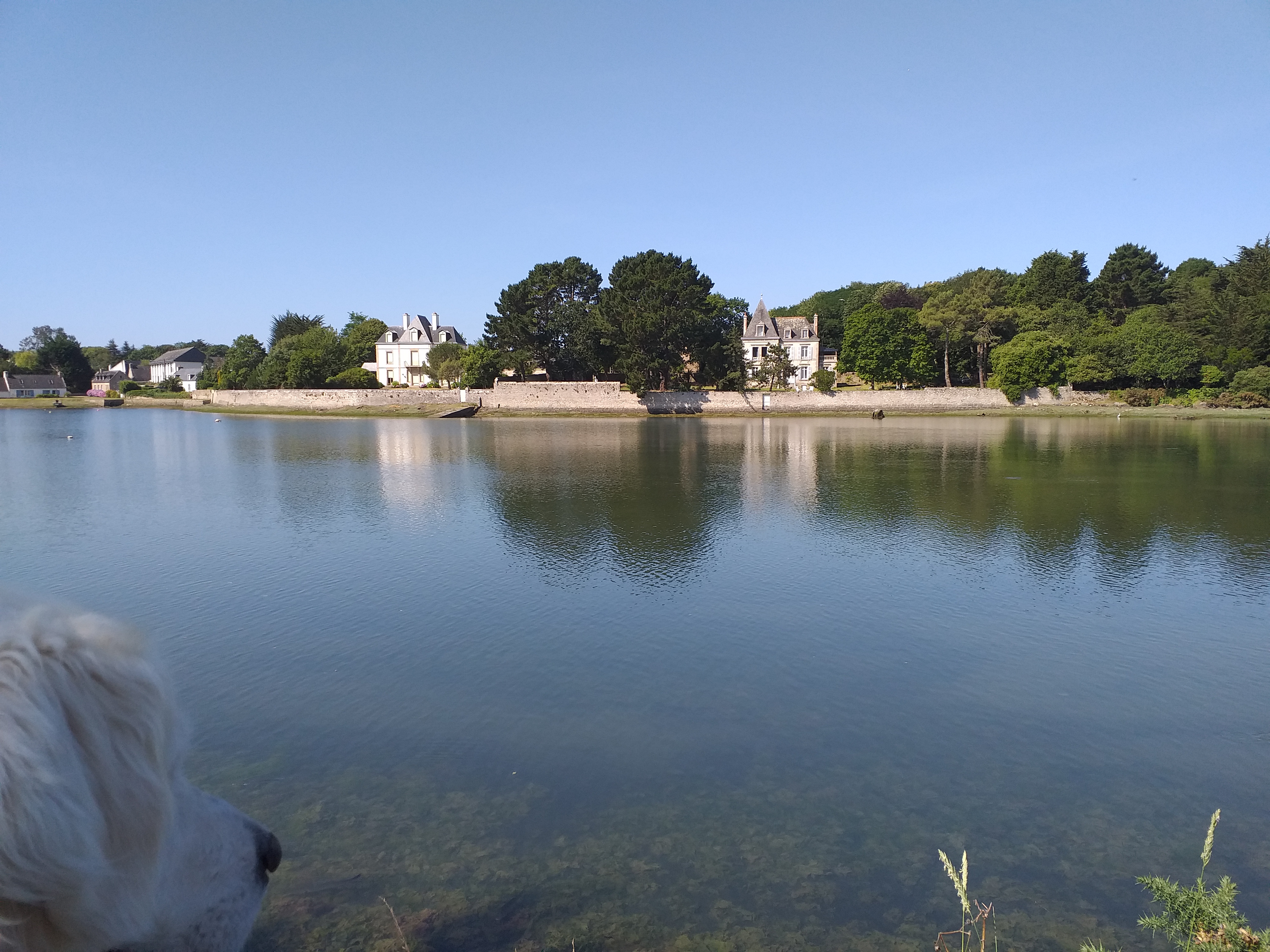 Photo n° 1 de l'avis de thierry.e fait le 07/07/2019 à 09:51