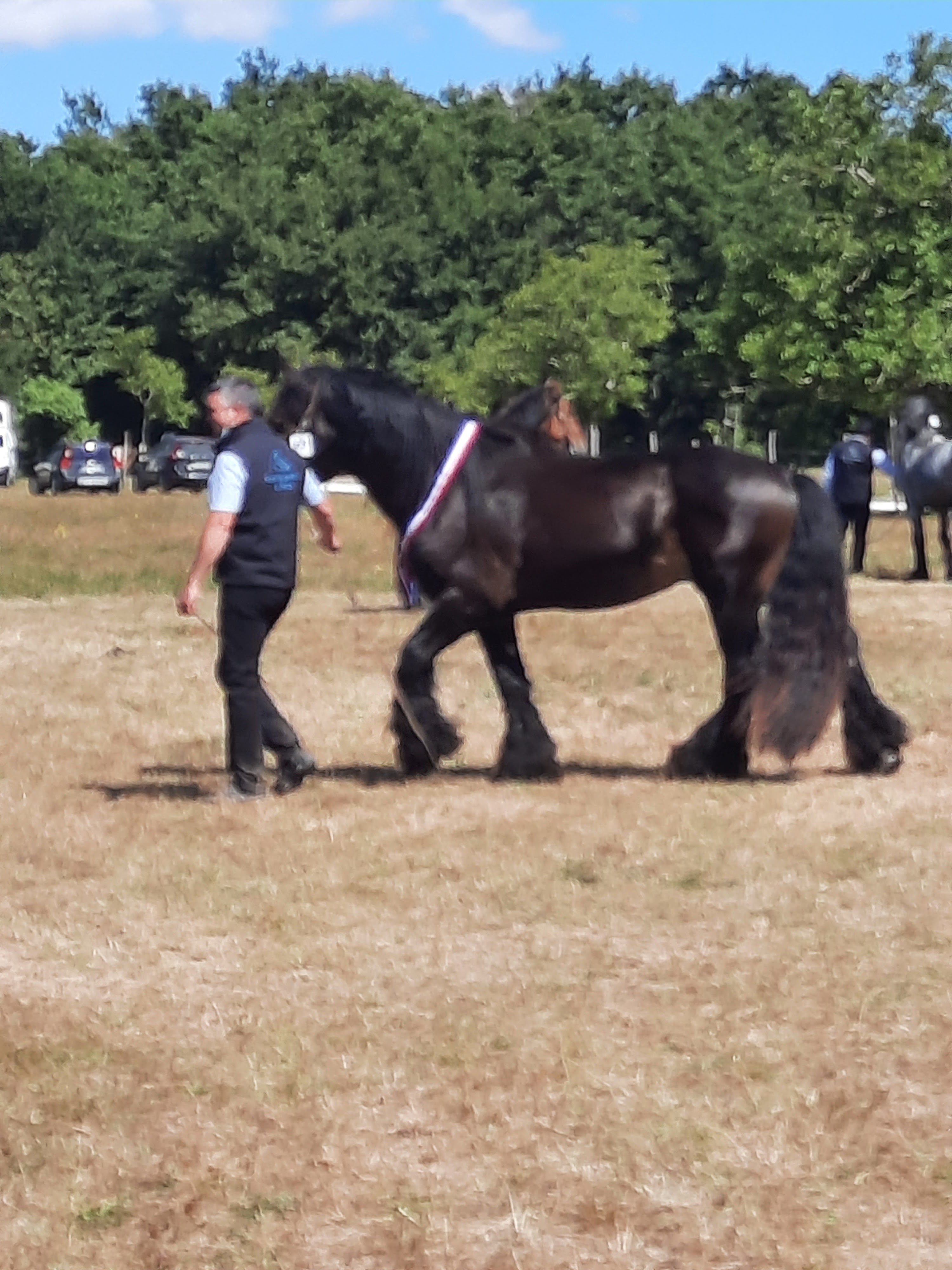 Photo n° 1 de l'avis de Marielle.a fait le 29/08/2020 à 17:32