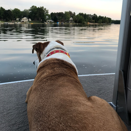 Pet Supply Store «Petco Animal Supplies», reviews and photos, 7625 Jolly Ln, Brooklyn Park, MN 55428, USA