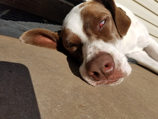 BMW Dealer «BMW of Oyster Bay», reviews and photos, 145 Pine Hollow Rd, Oyster Bay, NY 11771, USA