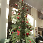 Photo n°7 de l'avis de Ian.o fait le 11/12/2023 à 12:50 sur le  Royal Savoy Madeira à Funchal