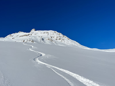 GMA Moniteur de Ski Accompagnateur Montagne à Aime-la-Plagne
