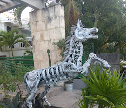 Shopping playacar photo