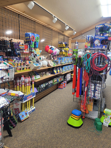 Toy Store «Goose Gang Toys», reviews and photos, 342 3rd Ave SE, Perham, MN 56573, USA
