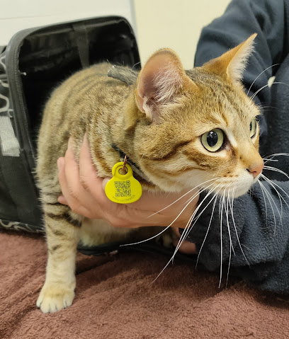 Albeitar Clínica Veterinària Foto