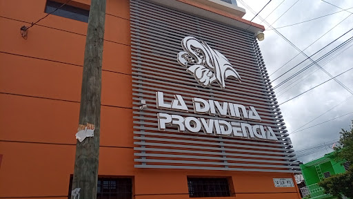 divinaprovidencia