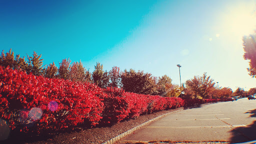 Warehouse club «BJ’s Wholesale Club», reviews and photos, 1 Howard Blvd, Ledgewood, NJ 07852, USA