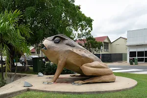 Sarina Big Cane Toad image