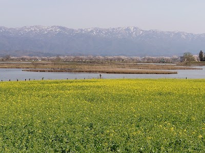 水の公園福島潟