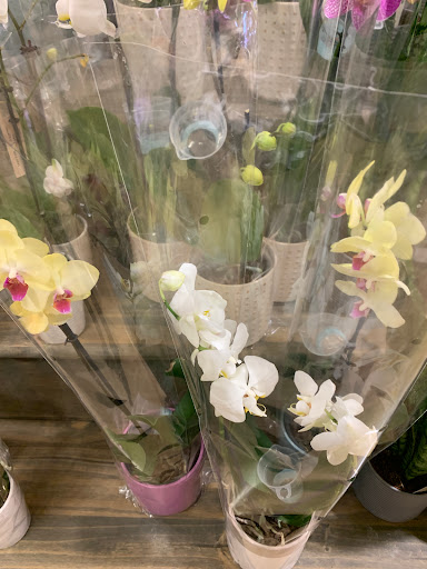 Grocery Store «Whole Foods Market», reviews and photos, 940 NJ-73, Marlton, NJ 08053, USA