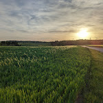 Photo n°2 de l'avis de Marc.l fait le 10/06/2023 à 17:43 sur le  Manoir de Ludwigsburg à Waabs