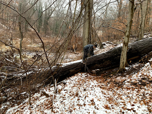 Nature Preserve «Lake Roland Nature Council», reviews and photos, 1000 Lakeside Dr, Baltimore, MD 21210, USA