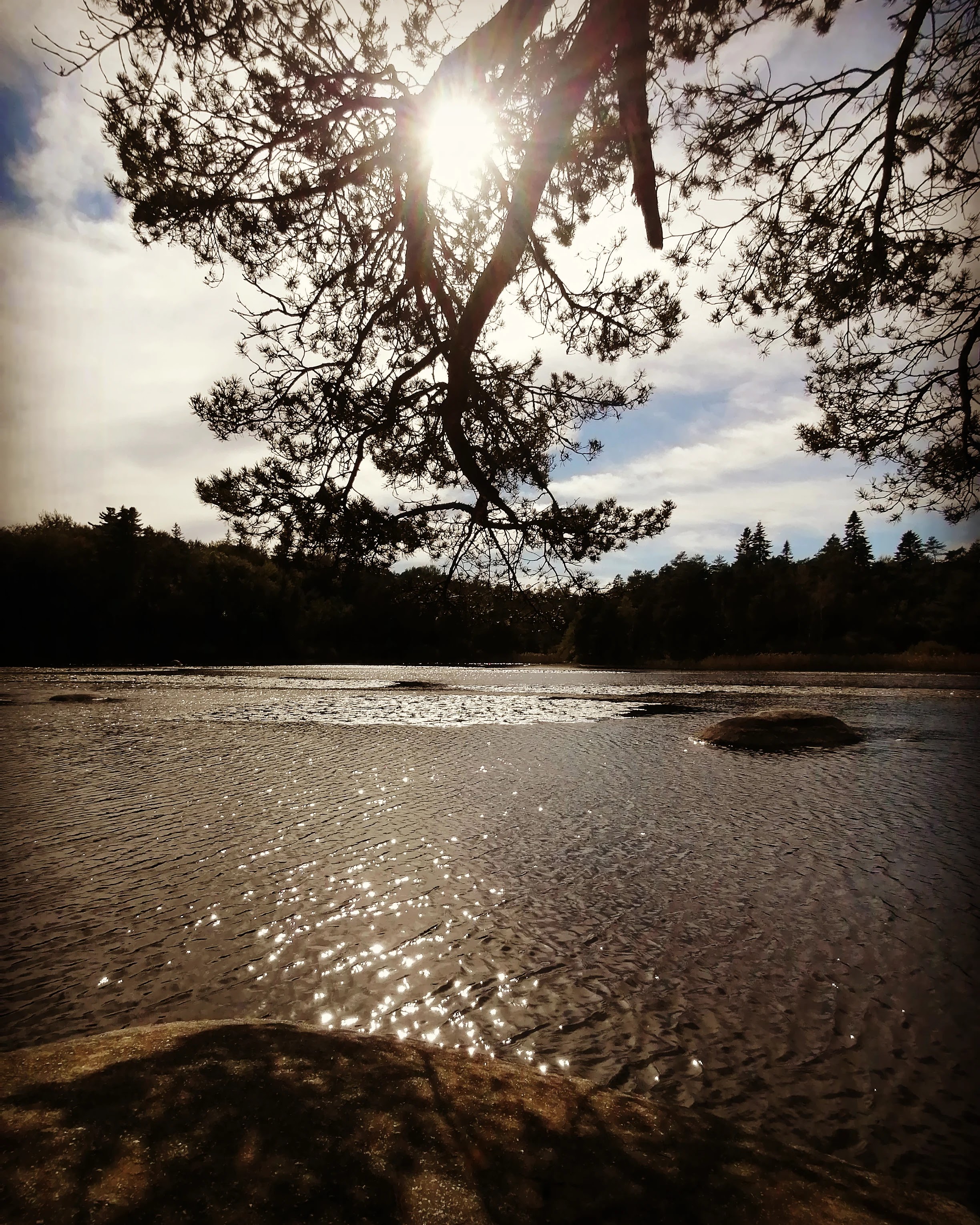 Photo n° 1 de l'avis de Celine.a fait le 04/10/2021 à 20:21