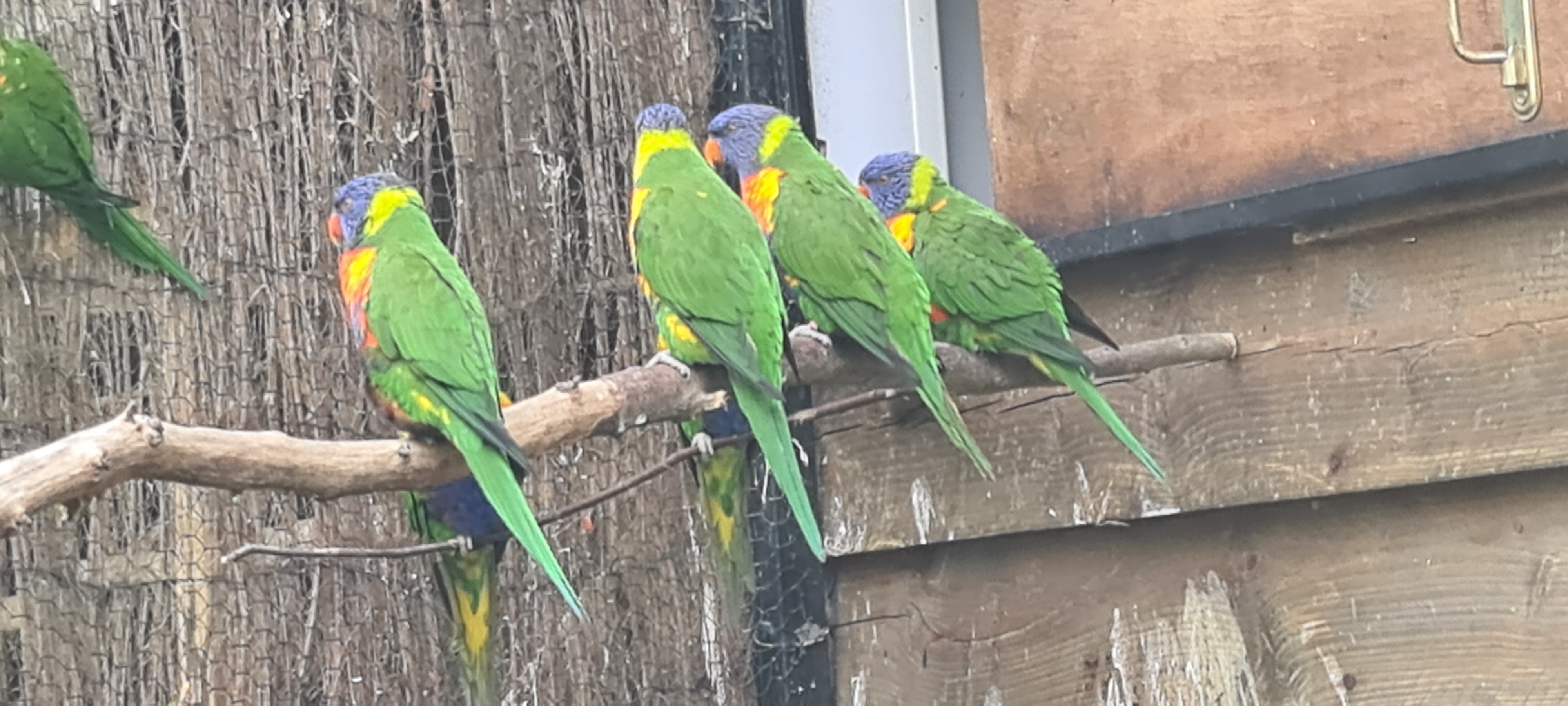 Photo n° 13 de l'avis de René.E fait le 14/04/2022 à 20:28