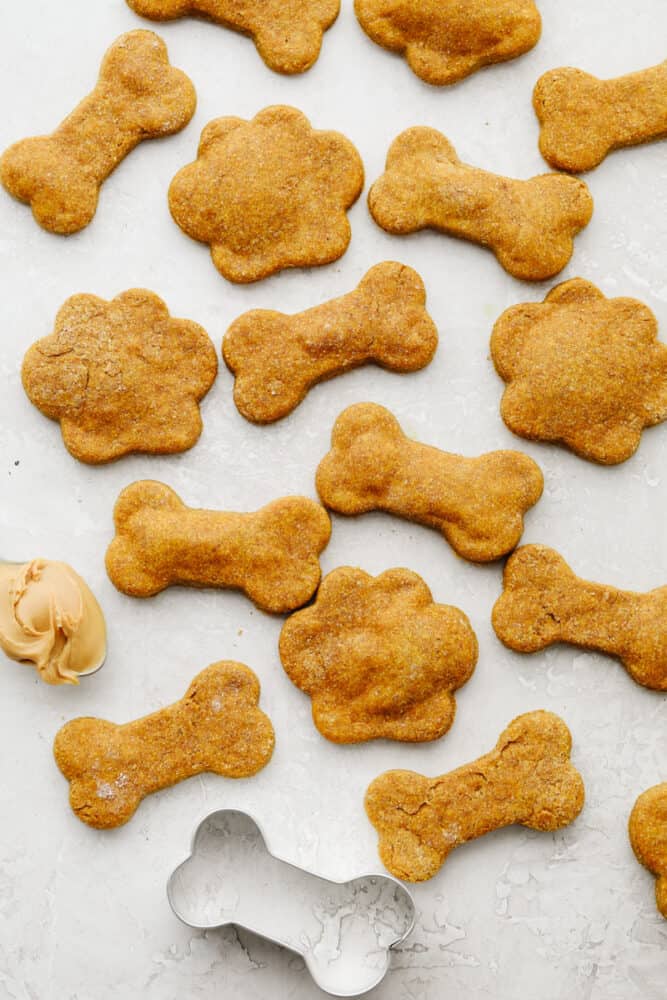 Chloe's Canine Cookies