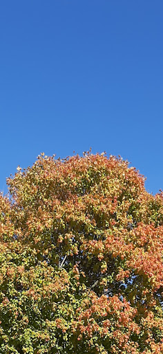 Museum «Pilcher Park Nature Center», reviews and photos, 2501 Highland Park Dr, Joliet, IL 60432, USA