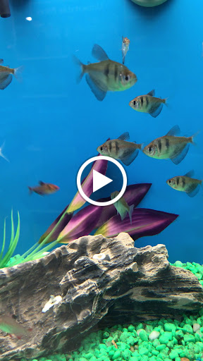 Pet Supply Store «PetSmart», reviews and photos, 24 Countryside Plaza, Countryside, IL 60525, USA