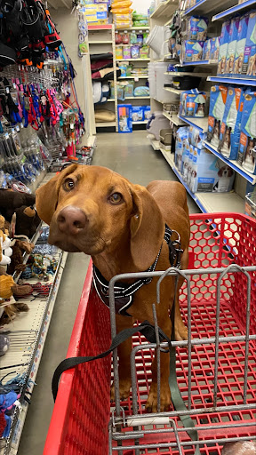 Home Improvement Store «Tractor Supply Co.», reviews and photos, 5431 Southern Maryland Blvd, Lothian, MD 20711, USA