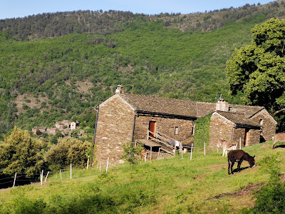 gite la Roquette à Molezon