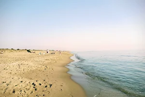 Spiaggia Libera Castel Porziano - Cancello 3 image