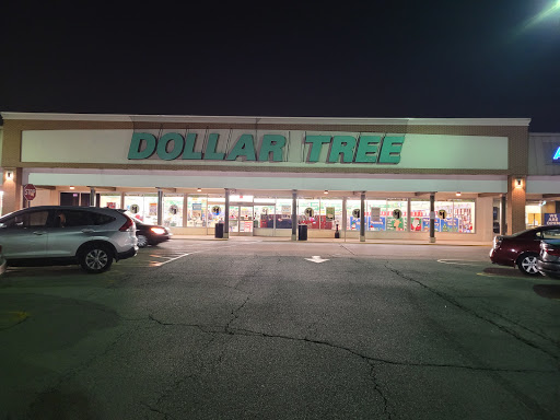 Dollar Store «Dollar Tree», reviews and photos, 8727 S Ridgeland Ave, Oak Lawn, IL 60453, USA