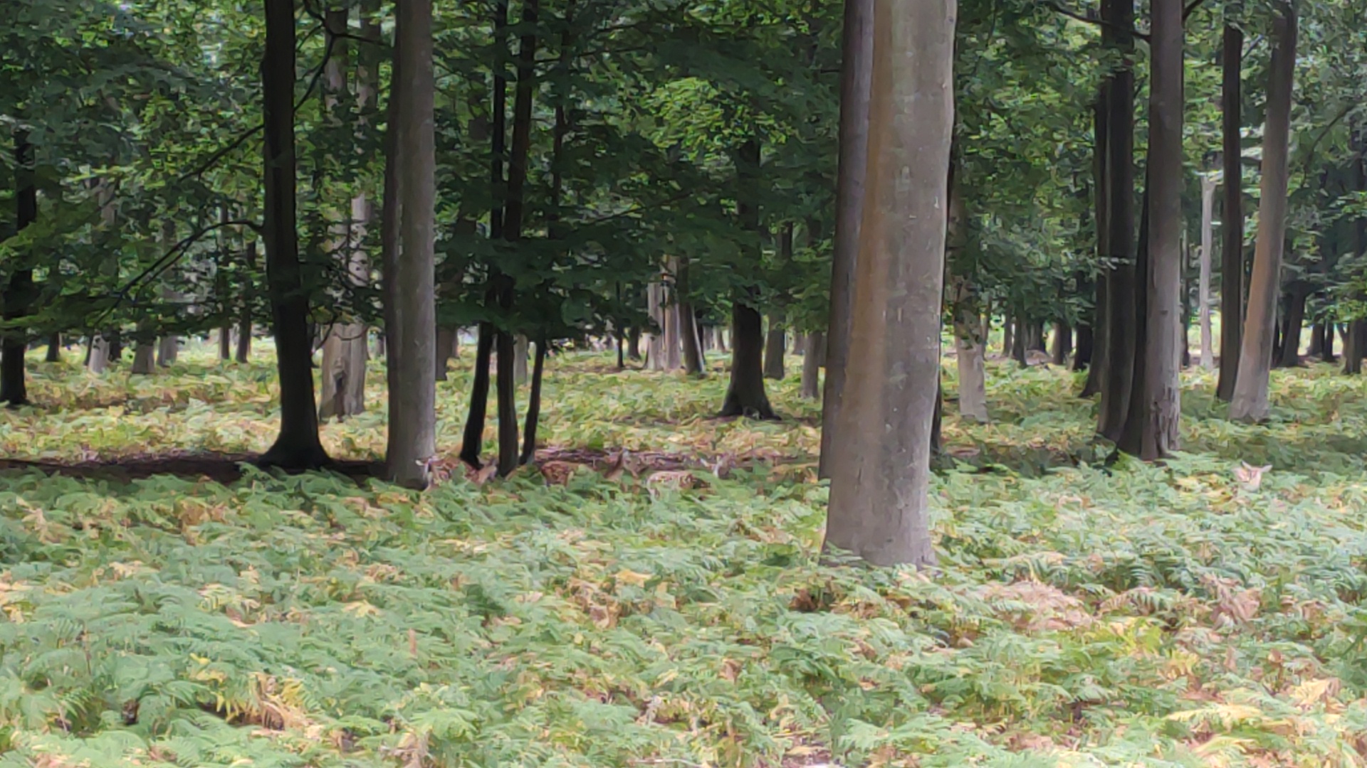 Photo n° 9 de l'avis de LAMBERT.r fait le 16/08/2022 à 19:17